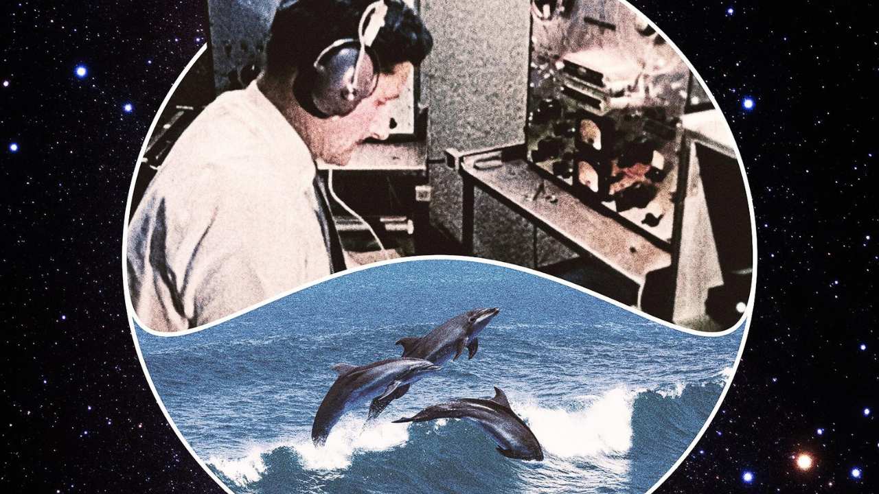 vintage photo of a man with headphones & dolphins
